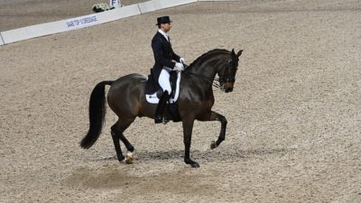 Patrik Kittel rider på den svartbruna hästen Delauney under Grand Prix 2018