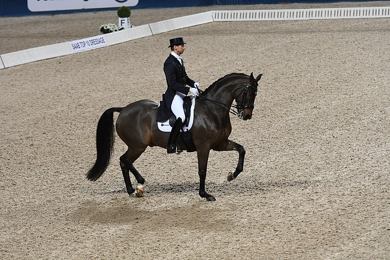 Patrik Kittel rider på den svartbruna hästen Delauney under Grand Prix 2018